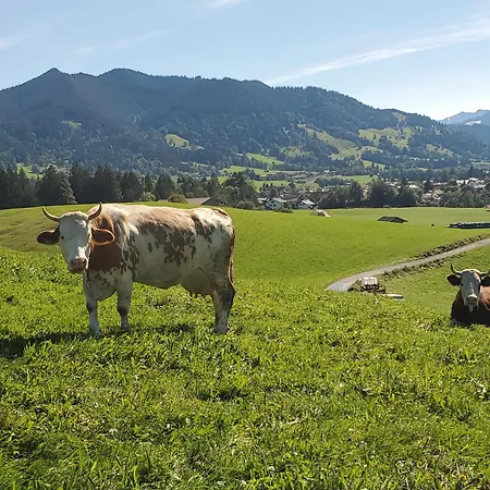 Biohof Dimper - Huehnernest Daire Saulgrub