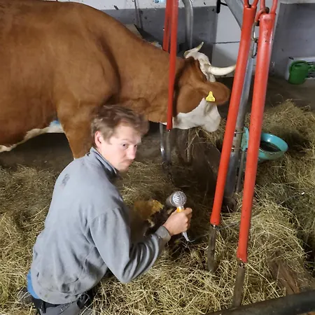 Biohof Dimper - Huehnernest Daire Saulgrub