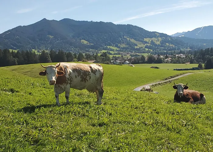 Biohof Dimper - Huehnernest Διαμέρισμα Saulgrub